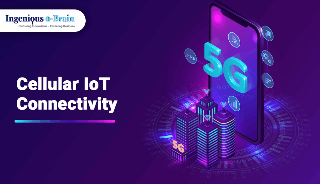 Cellular IoT Connectivity