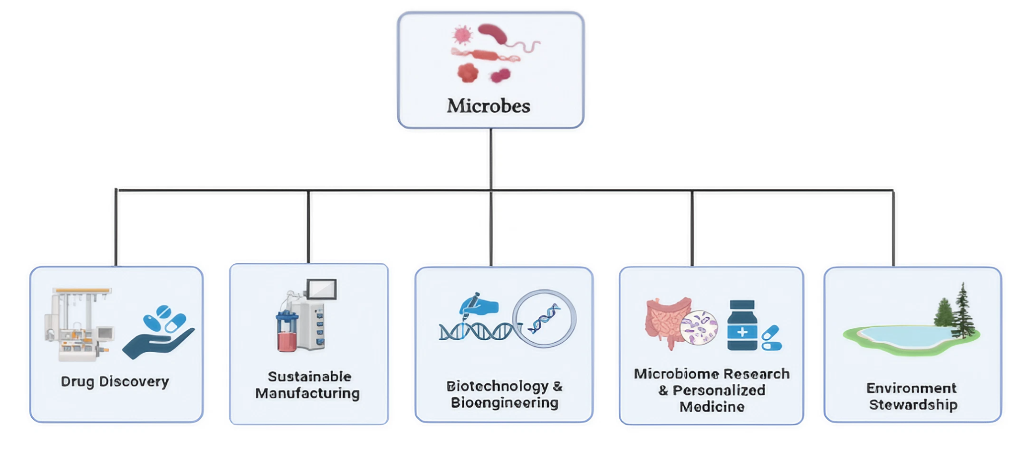 Microbes For Sustainable Pharma Solutions