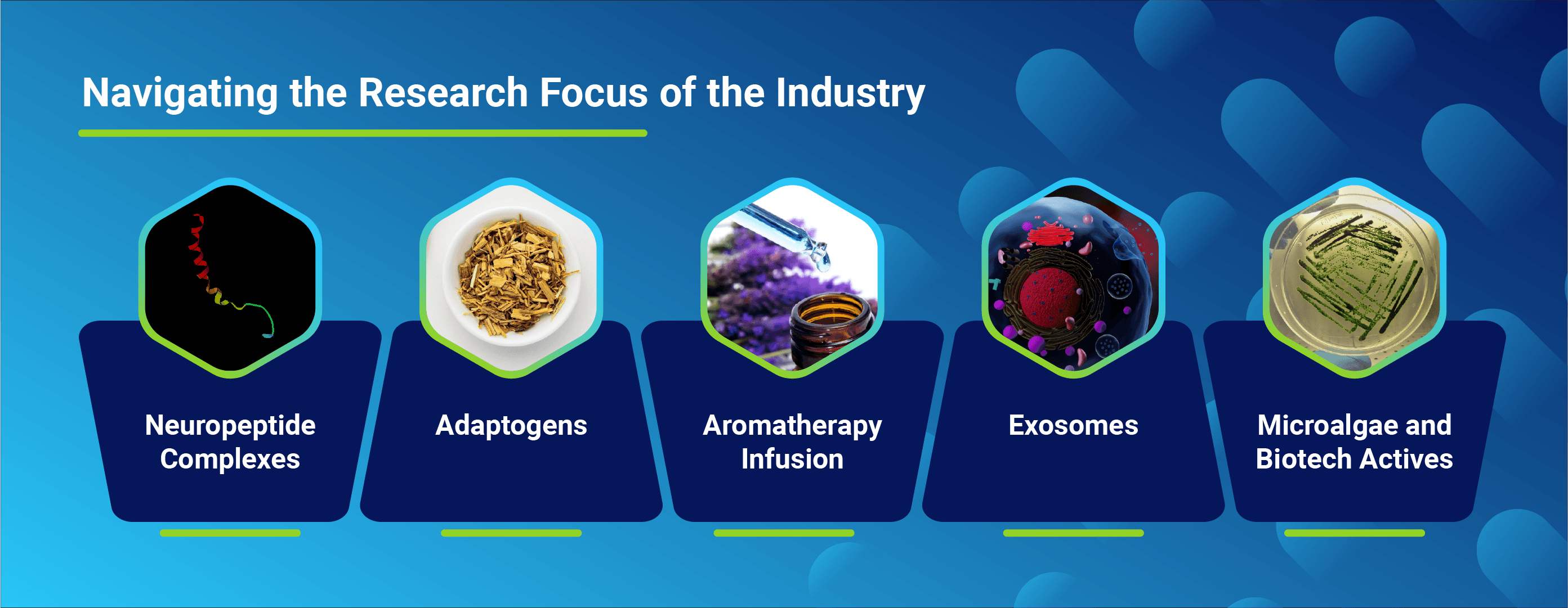Navigating the research focus of the industry